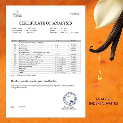 HERBIUS® ASHWA RESIN : Un puissant mélange de Shilajit pur de l’Himalaya et de l’Ashwagandha la plus étudiée cliniquement au monde (KSM-66®) - Lot de 2
