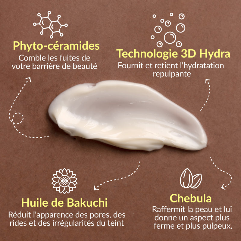 Cerabuild Face and Neck Cream - Resurface, Plump & Protect Your Skin with Phyto-Ceramides Lotion & Moisturizer A Modernica Naturalis 