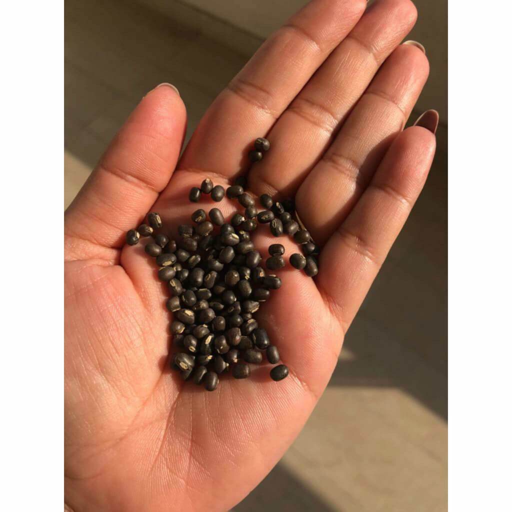 Booster de Gramme Noir Balaayah